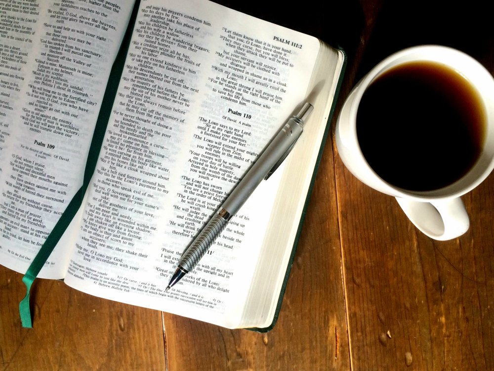 2017 Bible reading plan. Get a daily email with your reading for the day. Every email has what you need to read. Just read the email! Great Bible reading plan for beginners, for men, or for women.